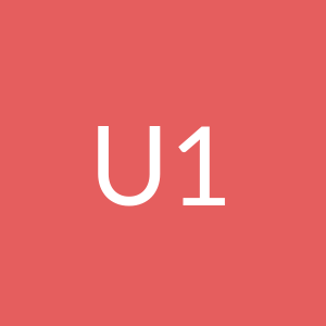 User 1